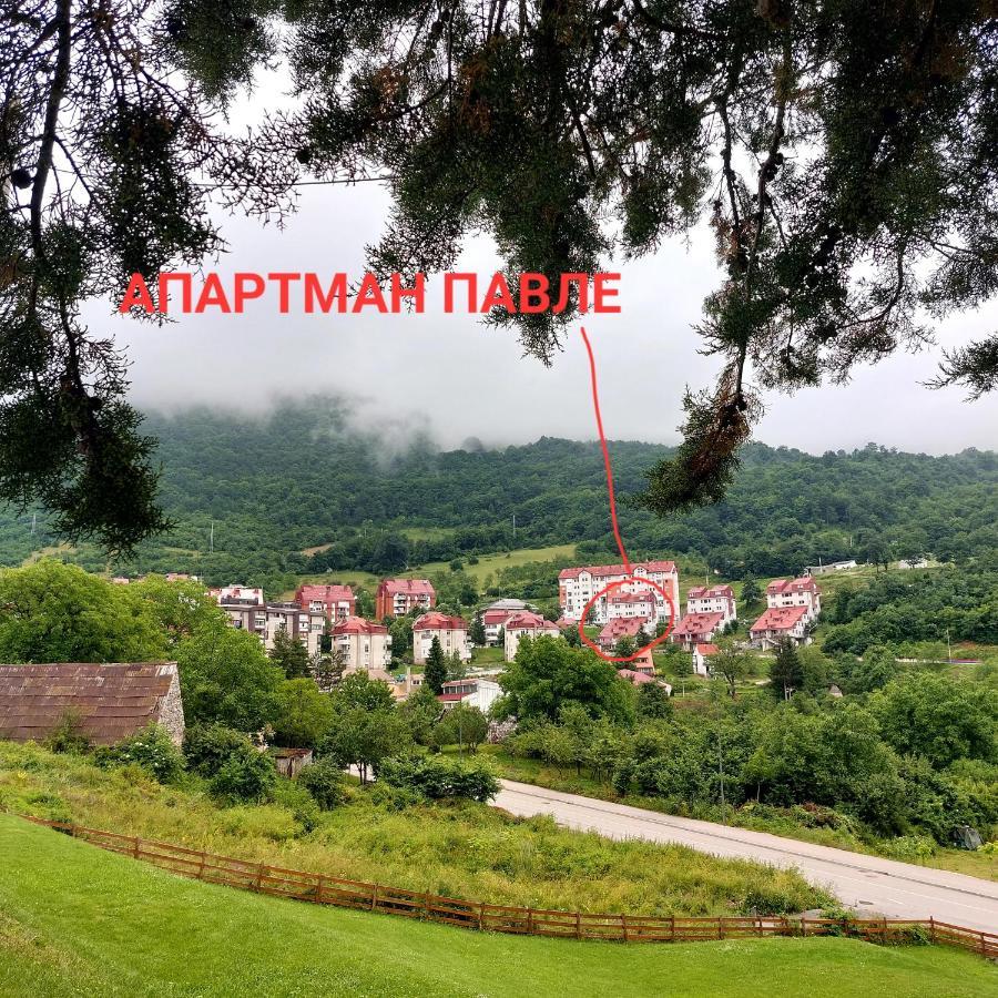 Apartman Pavle Plužine Exterior foto