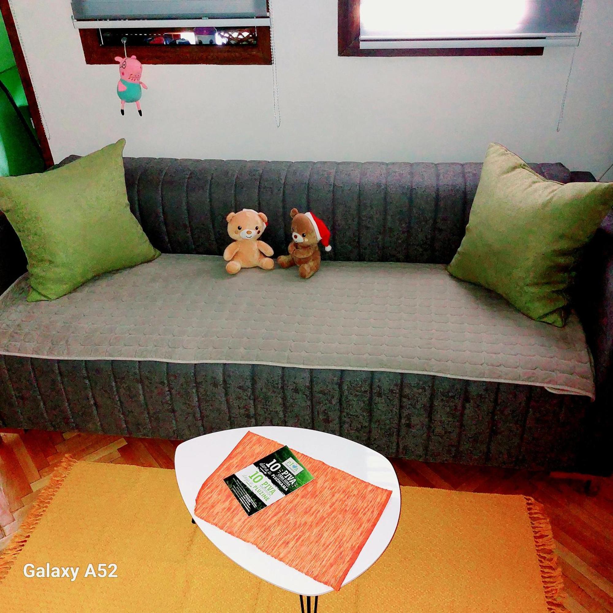 Apartman Pavle Plužine Exterior foto